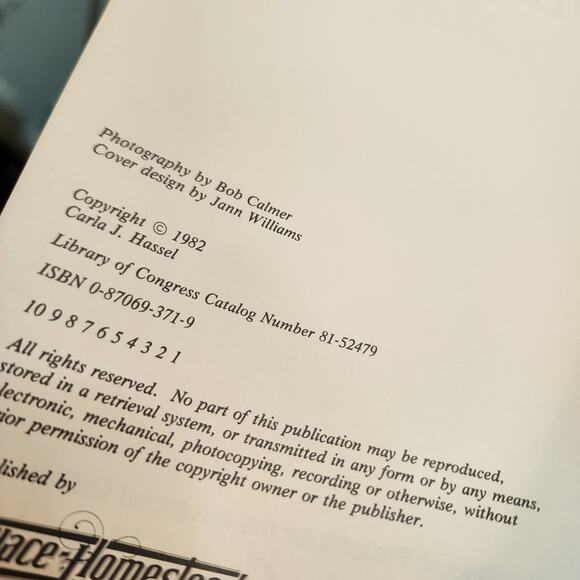 Lot of 2 Carla J Hassel Quilting Books Super Quilter I & II Vtg 1980s Patterns - Picture 11 of 16